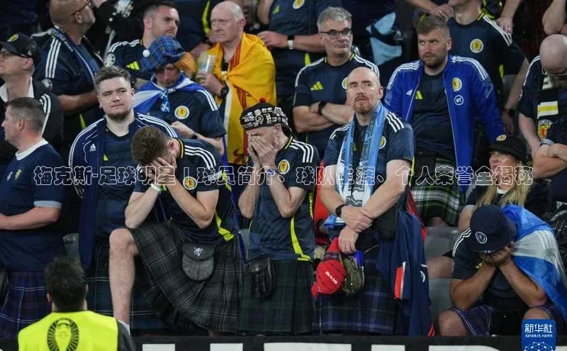 米乐m6小罗代言华策影视梅克斯-足球明星 | 球员简介、球队生涯、个人荣誉全揭秘