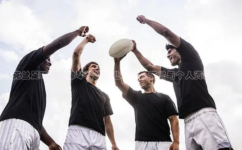 易游体育app官方下载百度手机卫士乌克兰足球明星津琴科：职业生涯、荣誉与个人资料全解析