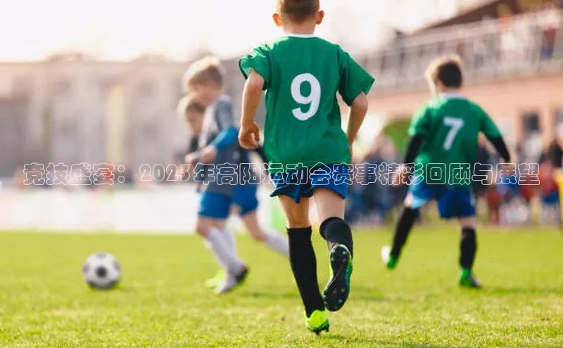 竞技盛宴：2023年高阳运动会赛事精彩回顾与展望