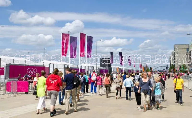 公路车运动盛事：最前沿的赛道与骑行文化