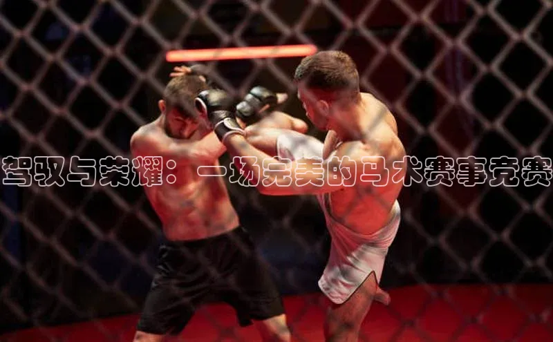 驾驭与荣耀：一场完美的马术赛事竞赛