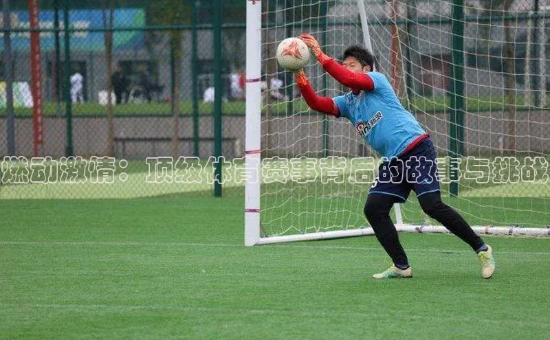 燃动激情：顶级体育赛事背后的故事与挑战