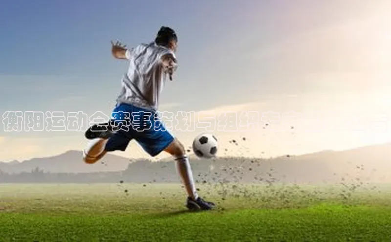 衡阳运动会赛事策划与组织专家招聘公告