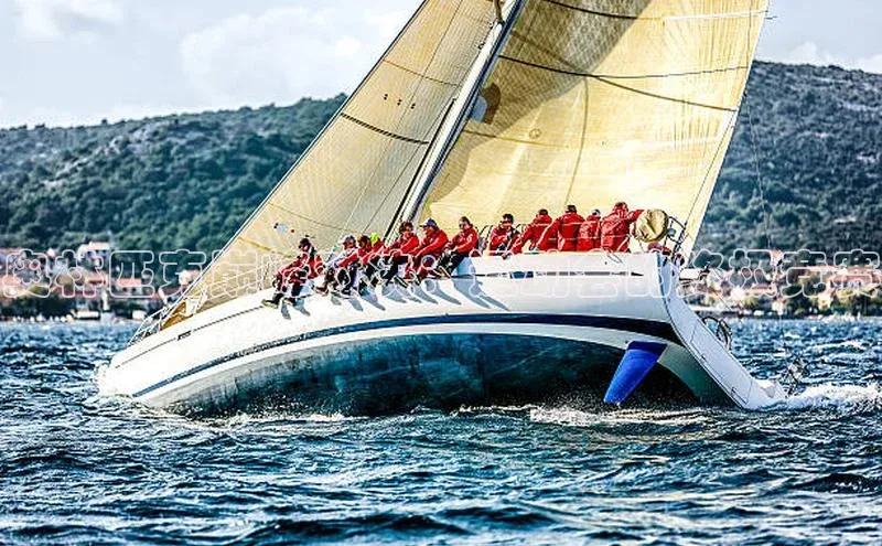 奥林匹克巅峰对决：运动会的终极竞赛