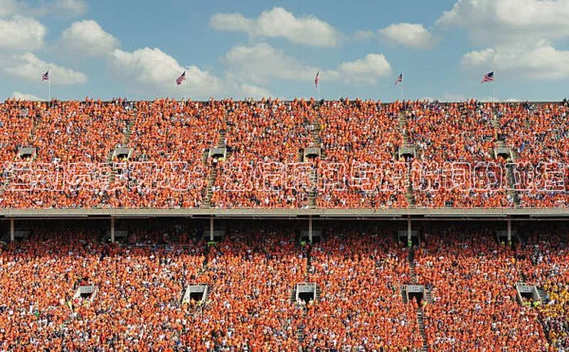 运动赛事现场：激情瞬间与解说词的碰撞