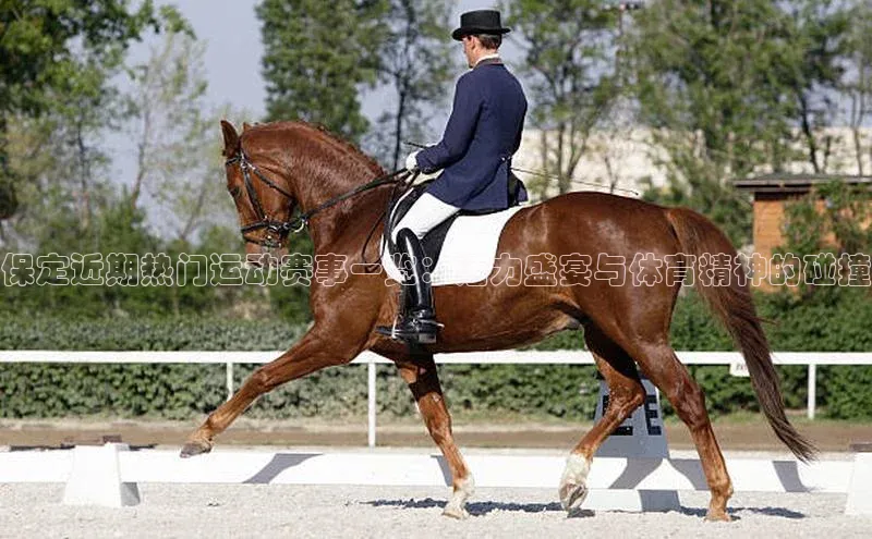 保定近期热门运动赛事一览：活力盛宴与体育精神的碰撞