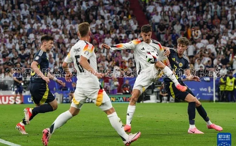 激情燃动南岳：2023年湖南省重大运动赛事盛况