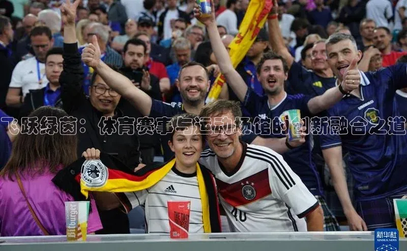 飞跃绿茵：体育赛事与运动场馆的创新融合之道