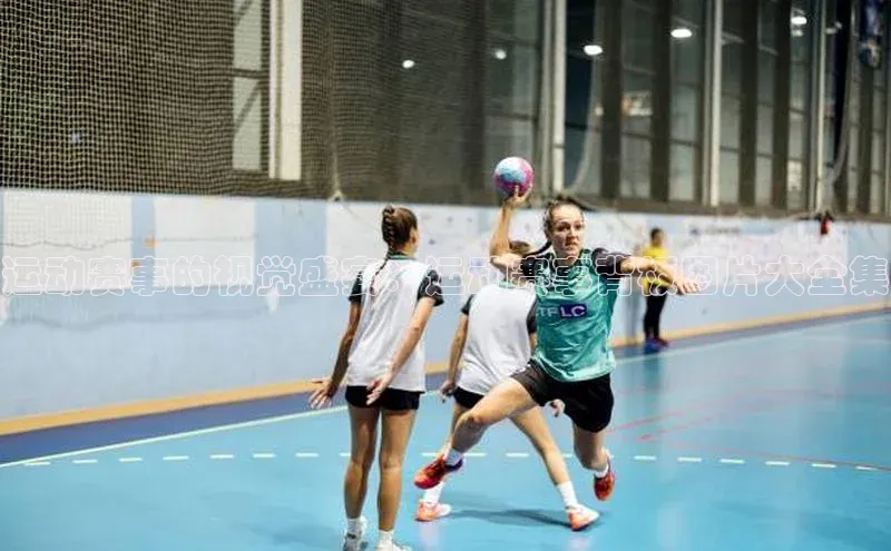 米乐yy易游体育