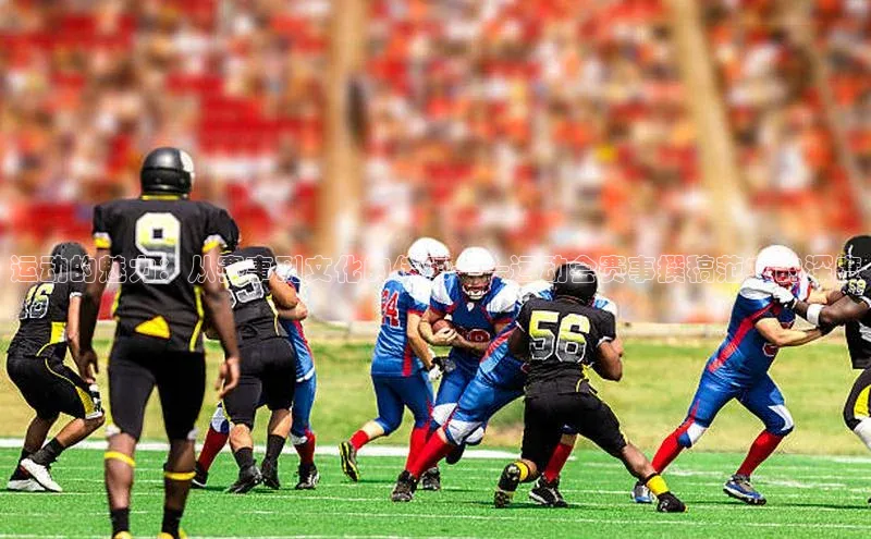 运动的魅力：从赛事到文化的传承——运动会赛事撰稿范文的深度