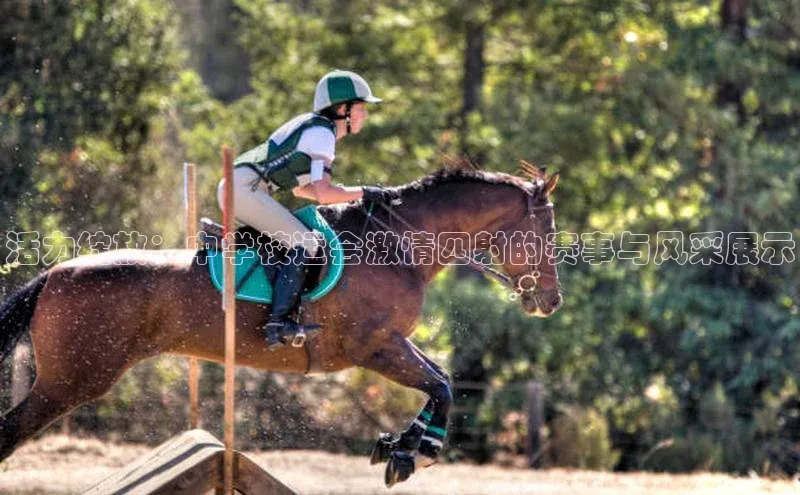 活力绽放：中学校运会激情四射的赛事与风采展示