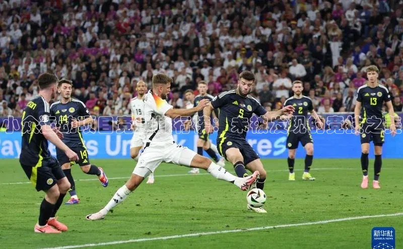 小众运动项目竞速排行榜：未被发现的竞技之美